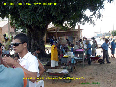 FeiraDoBode_059