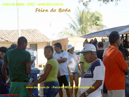 FeiraDoBode_084