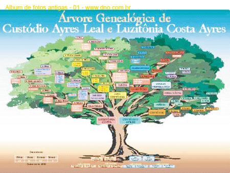 HistoricasArvoreGenealogicaFamiliaToto