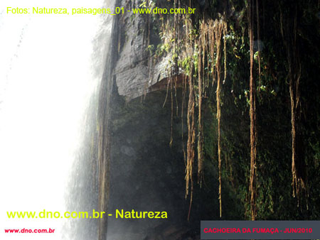 Natureza_0017