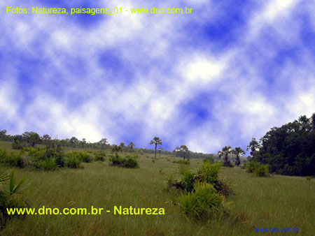 Natureza_0067