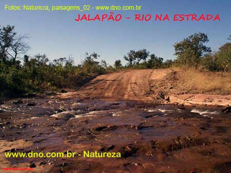 Natureza_0122