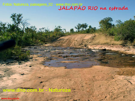 Natureza_0125