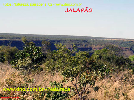 Natureza_0130
