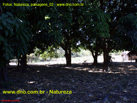 Natureza_0140
