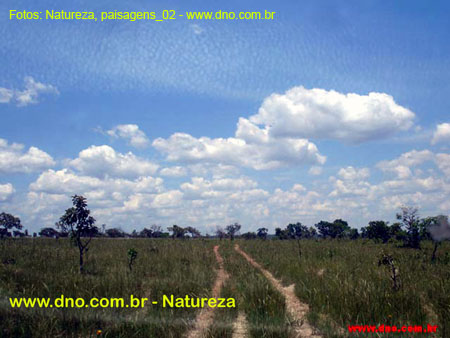 Natureza_0155