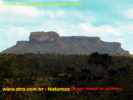 Natureza_0159