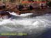 Natureza_0138