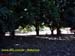 Natureza_0141