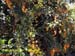 Natureza_0145