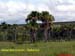 Natureza_0153
