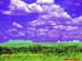Natureza_0158
