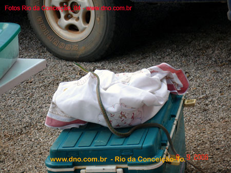 RioDaConceicao_0300