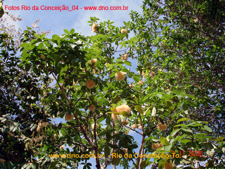 RioDaConceicao_0317