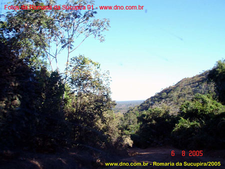 sucupira_2005_0003