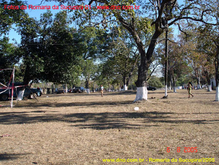 sucupira_2005_0010