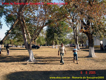 sucupira_2005_0013