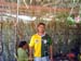 sucupira_2004_058