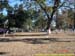 sucupira_2005_0010