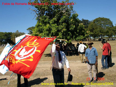 sucupira_2006_0030