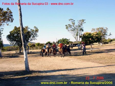 sucupira_2006_0035