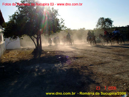 sucupira_2006_0037