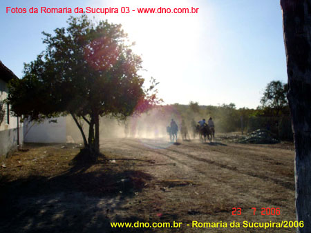 sucupira_2006_0038