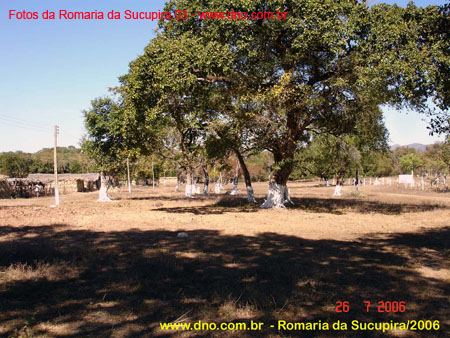 sucupira_2006_0040