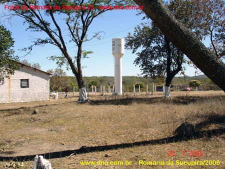 sucupira_2006_0041