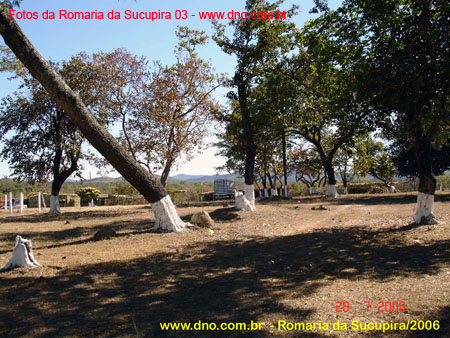 sucupira_2006_0048