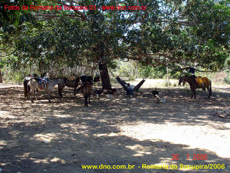 sucupira_2006_0050