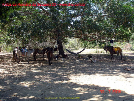 sucupira_2006_0051