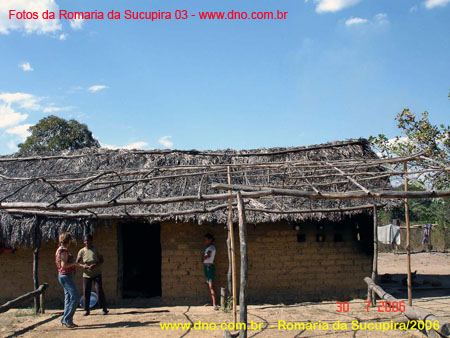 sucupira_2006_0059