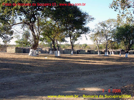 sucupira_2006_0066