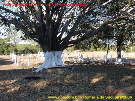 sucupira_2006_0068