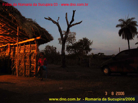 sucupira_2006_0076