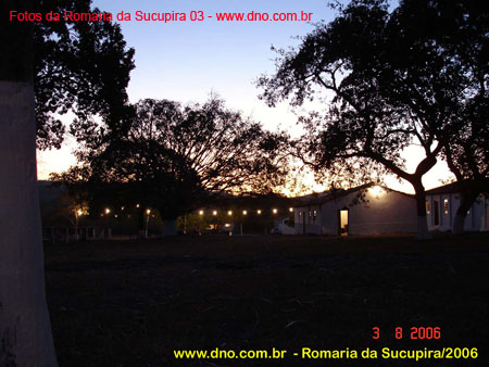 sucupira_2006_0077