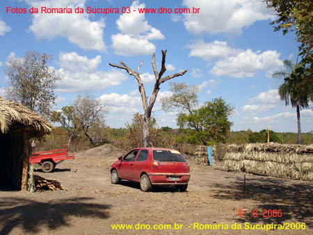 sucupira_2006_0079