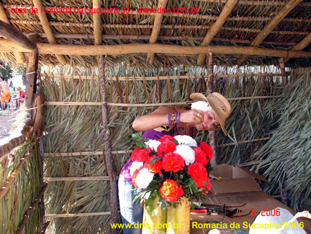 sucupira_2006_0084