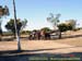 sucupira_2006_0035