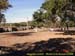 sucupira_2006_0046