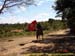 sucupira_2006_0055
