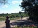 sucupira_2006_0058