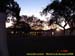 sucupira_2006_0077