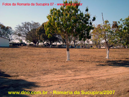 sucupira_2007_0003