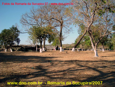 sucupira_2007_0009