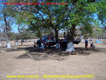 sucupira_2007_0088
