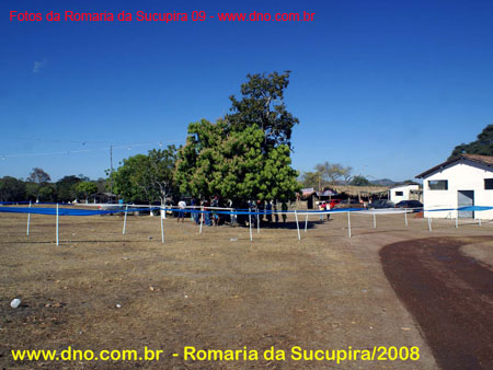 sucupira_2008_0036
