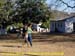 sucupira_2008_0022
