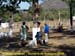 sucupira_2008_0026